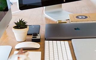  PG拳击玫瑰：带你解锁女性力量与优雅的平衡（PG拳击玫瑰）